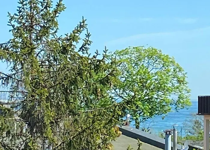 Elite Parkowa Economy 아파트 소포트